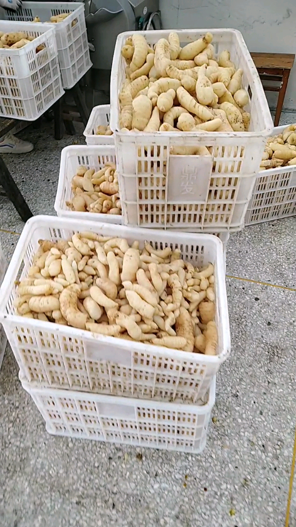 益陽(yáng)瑪山產(chǎn)業(yè)機(jī)械有限公司，湖南益陽(yáng)螺旋風(fēng)管廠家，熱風(fēng)食品烤房